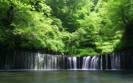 Forest Waterfall - Forest, Water, Nature, Waterfall