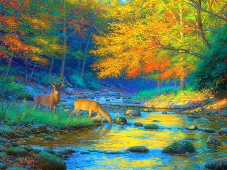 â˜…Quiet Encounterâ˜… - wildlife, autumn, streams, forests, trees, animals, mountains, creative pre-made, rocks, nature, love four seasons, sunsets, scenery, paintings, fall season, landscapes