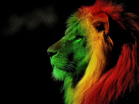 Soul Of Lion - Lion, big cats, Animals, wild life