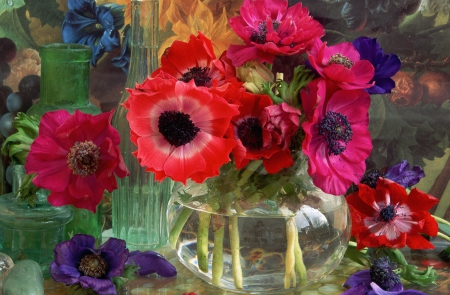 Anemona - purple, pink, red, colors, anemona, flowers, still life, vase