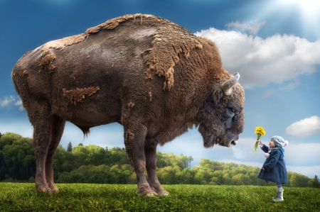 Large and Small - gigantic, child, buffalo, flowers, contrast