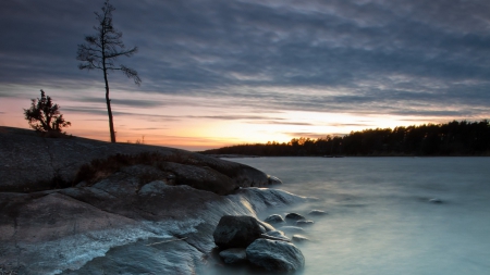 misty river at twilight - river, twilight, tree, mist, rocks