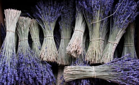 Lavender - bunches, many, flowers, violet, flower, lavender