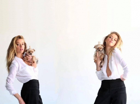 Amber Heard - amber, heard, model, beautiful, actress, amber heard, dog