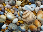 Shells and Stones