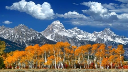 * Autumn mountains * - trees, nature, blue, autumn, mountains, sky