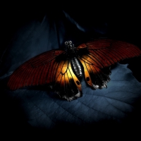 In the dark