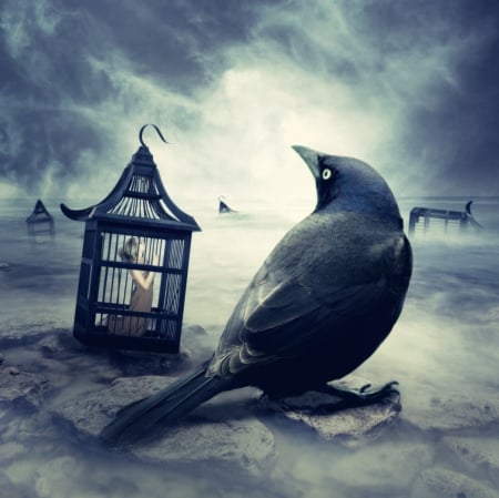 What If - abstract, fantasy, cage, raven