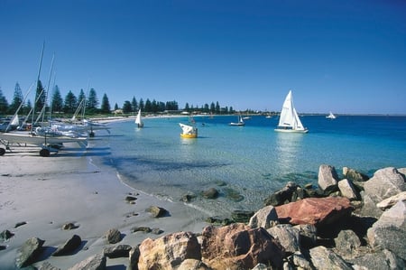 Esperance, WA - sailboats, australia, pine trees, coast, rocks