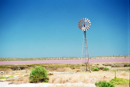 Pink Lake Windmill - dry grass, pink lake, windmill, australia