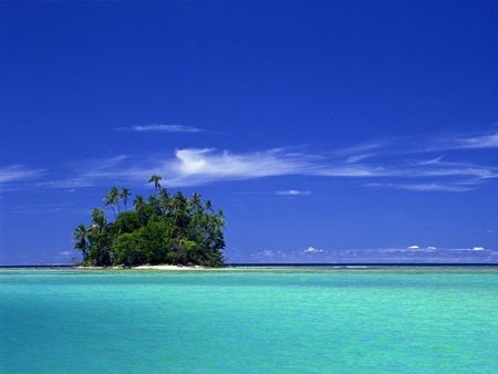 Coral Island - solomon islands, palms, tropical, paradise, unihabited, ocean