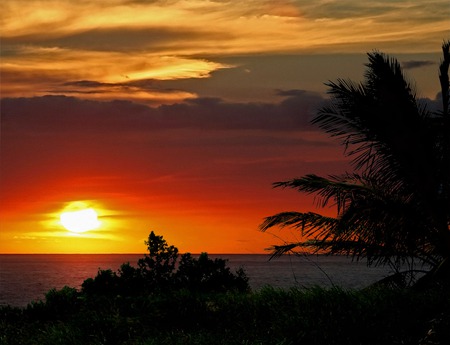 Hawaii Sunset - sunset, tropical, palm trees, hawaii, ocean, orange sky