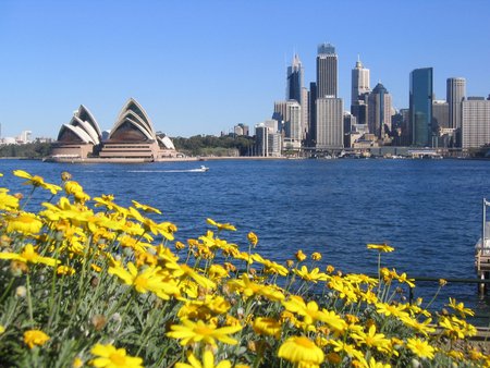 Opera House - ocean, yellow flowers, australia, buildings, opera house