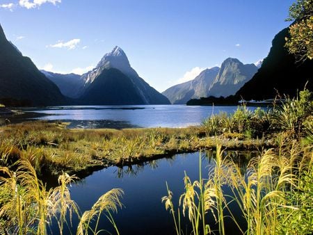 Milford Sound - tall grasses, lake, mountains, new zealand