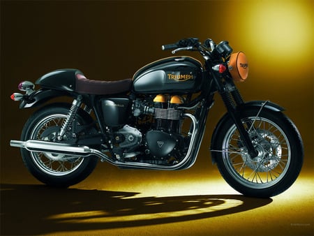 Triumph - motorcycles, bike