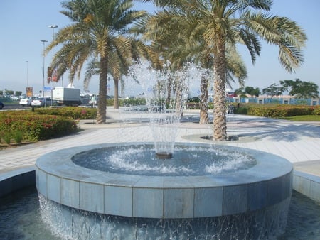 fountain in a desert plant