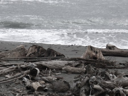 Oregon Coastline - nature, beaches, oregon