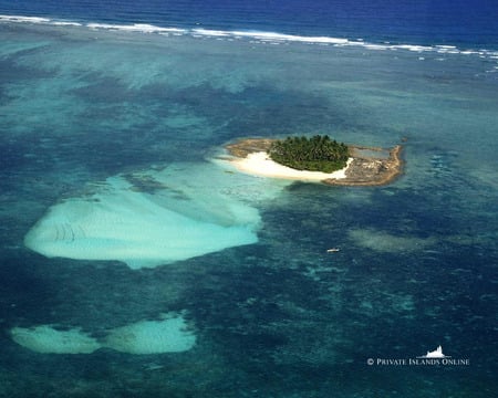 Private Island - palms, tropical, east of vanuatu, beach, island, ocean