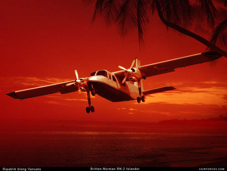 Vanuatu Fly over - sunset, vanuatu, ocean, fly over, light plane, sky, palm