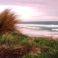 Phillip Island Beach