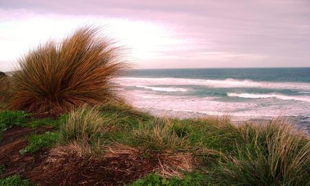 Phillip Island Beach - beach, grasses, phillip island, australia