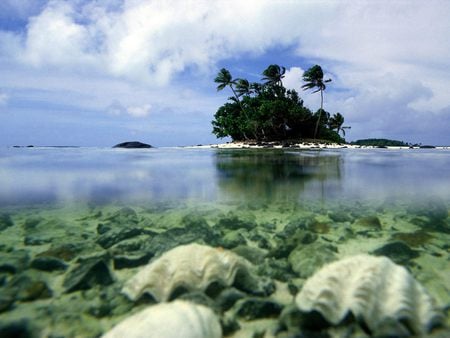 Aitutaki, Cook Islands - ocean, autralia, palms, clams, tropical, cook islands