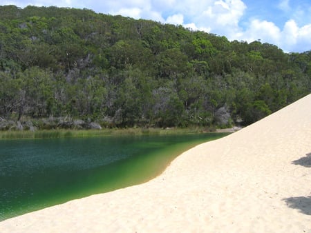 Fraser Island Beach - green water, beach, tropical, australia, sand, fraser island