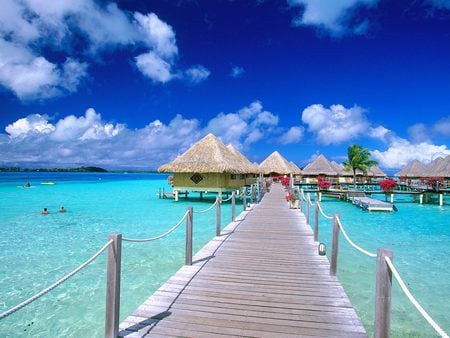 Board Walk - boardwalk, bora bora, palms, matira pint, flowers, huts, crystal waters