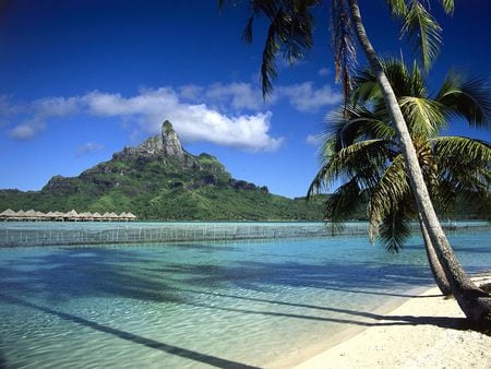 Shoreline - Bora Bora - shoreline, beach, bora bora, palms, tropical, mountains, huts