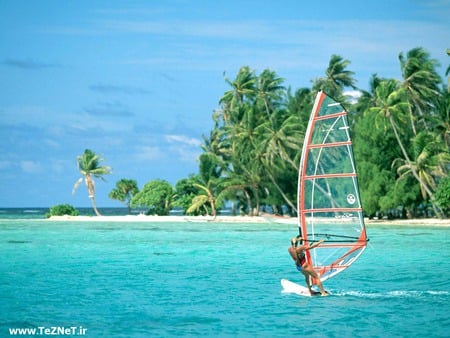 Isle Tarou - Tahiti - beach, palm trees, island, tropical, lady windsurfing, tahiti