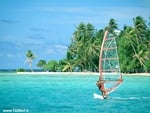 Isle Tarou - Tahiti