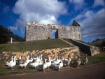 Norfolk Island - Jail