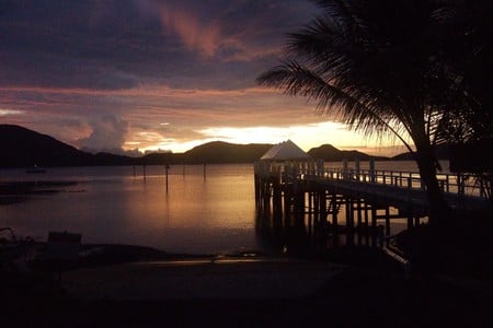 Sunrise on Lindeman Island - calm water, tropical, island, sunrise, boardwalk, australia, palm tree