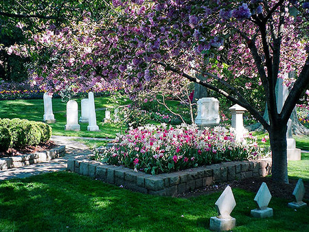 Flowering rest - nature, cemetery, graveyard, trees, flowers, grass, spring