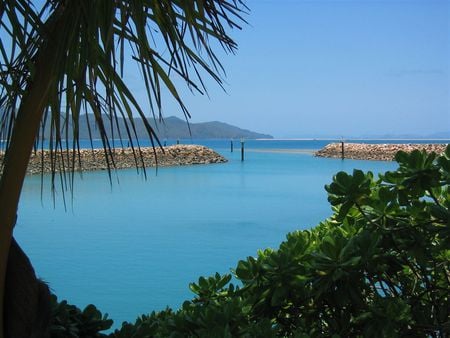 Hayman Island view - hayman island, succulent cactus, tropical, australia, palm tree