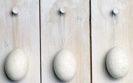 Easter eggs - eggs, white, hang, Easter