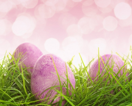 Easter eggs - eggs, easter, bokeh, grass