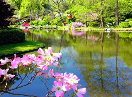 Spring pond - branches, blooming, lake, trees, picnic, greenery, flowering, shore, lovely, spring, forest, pretty, blossoms, beautiful, flowers, pond