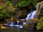 Forest Waterfall