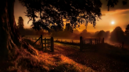 welcome home - nature, welcome-hom, trees, gate, field