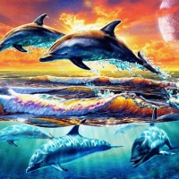 Dolphins