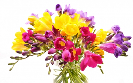 Bright freesias - glass, bouquet, vase, spring, white, purple, yellow, freesia, pink, green, flower