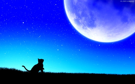 MOONCAT - moon, stars, art, cat, sly