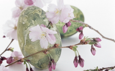 Easter Eggs - eggs, flowers, easter, painted