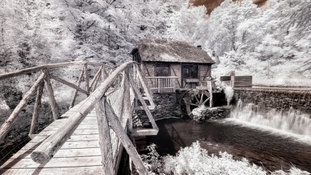 lovely mill surrounded by white trees - river, trees, mill, falls, bridge