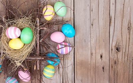 Easter eggs - eggs, nest, Easter, painted