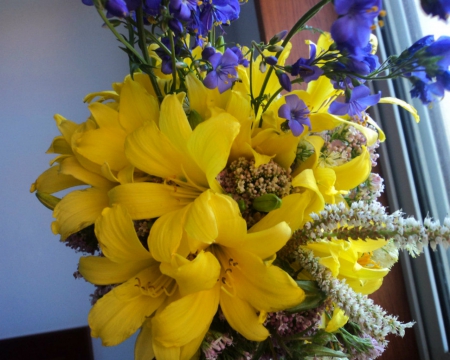 Beautiful flowers - flowers, yellow, petals, bloom