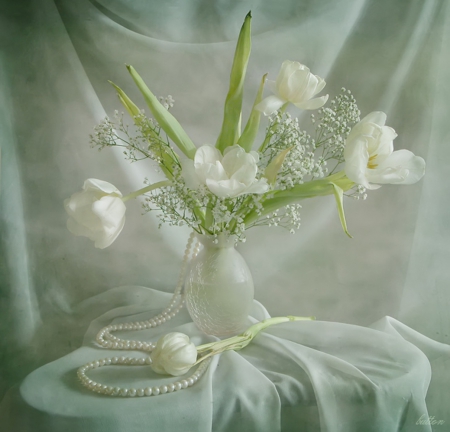 Still life - white, nature, flowers, soft