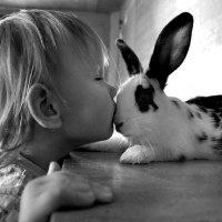 Kisses My Friend