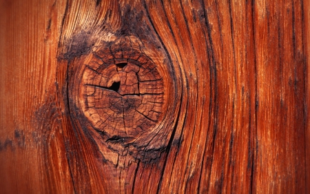 Wood - wood, brown, red, pattern, orange, timber, texture